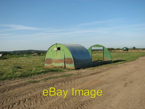Photo 6x4 pig - photo,