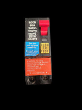 Square D 80amp 30mA Double
