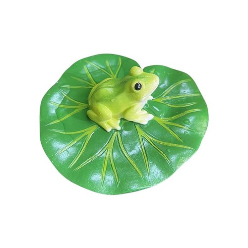 Water lily leaf with frog - lily,