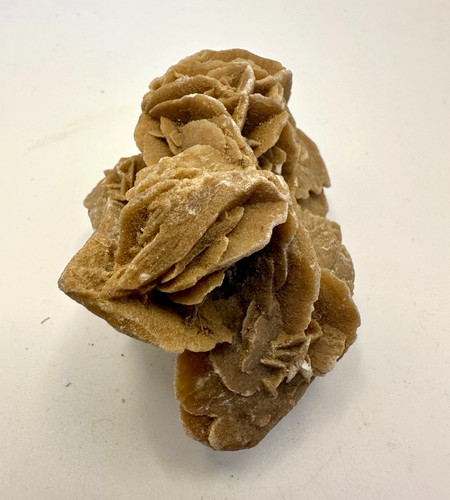 Desert rose gypsum crystal - rose,