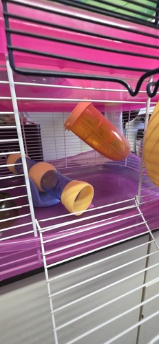 Imac fantasy hamster - cage, and