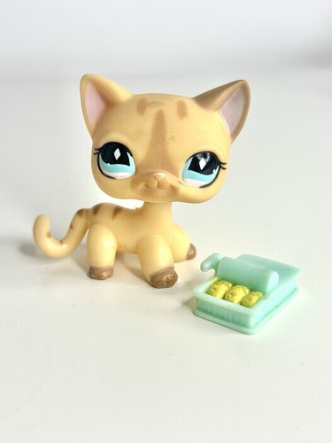 Littlest pet shop shorthair - pet,