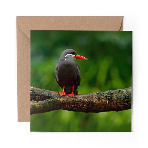 Blank greeting card - card, black