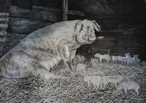 Framed print titled pig - titled,