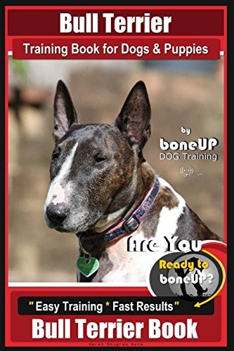 Bull terrier training - training, for