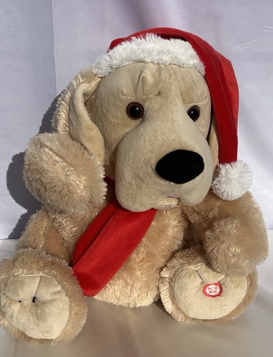 Christmas dog with - dog, hat