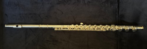 Verne powell sonare ps 505 - powell, ps-505