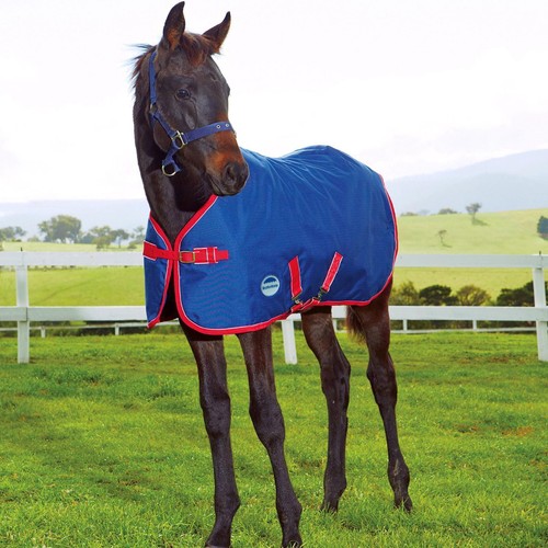 Weatherbeeta 1200d foal 220g - 1200d,