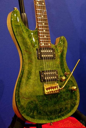 Schecter ctm vtr - schecter, burl