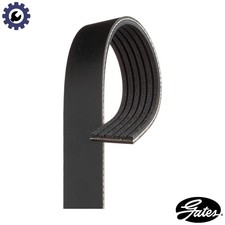 VRIBBED BELT 6PK1163 FOR