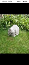 Latex And fibreglass Mould To make A Big Bunny Concrete Garden Ornament