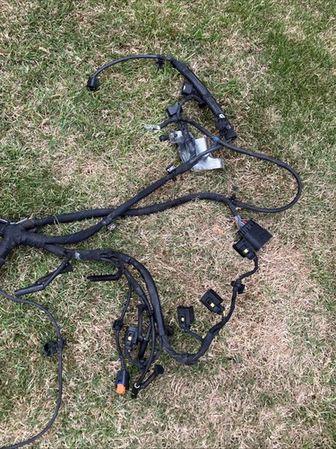 Wiring loom engine - wiring,