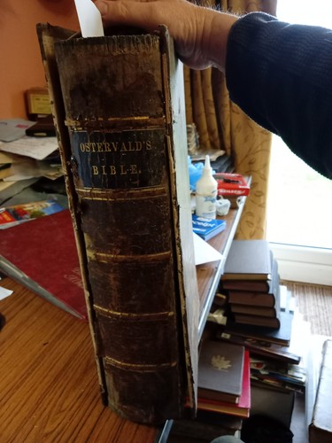 The holy bible - holy, old