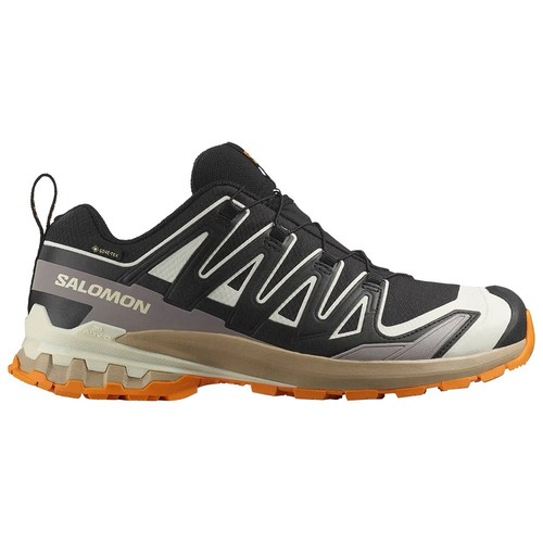 Salomon pro v9 - 3d,