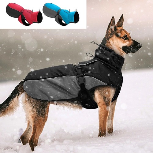 Dog coat winter - dog, jacket