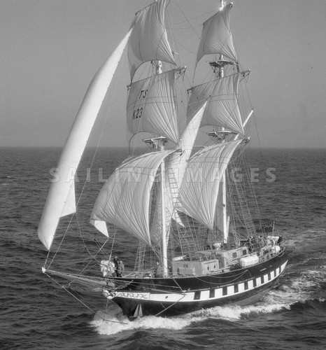 Royalist tall ship - ship,