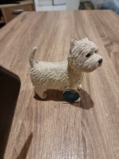 West Highland White Terrier