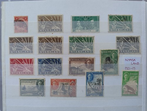 The african collection - collection,