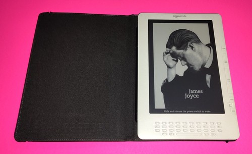Amazon kindle white - dx,
