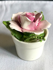 RADNOR BONE CHINA POSY OF A