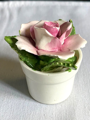 Radnor bone china posy a - radnor,