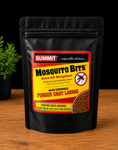 Mosquito bits fungus gnat - fungus,