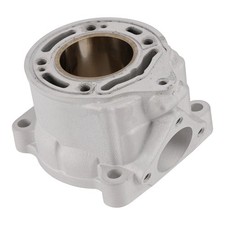 Cylinder 46230038000 For