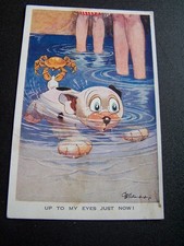 Bonzo dog studdy - dog, e
