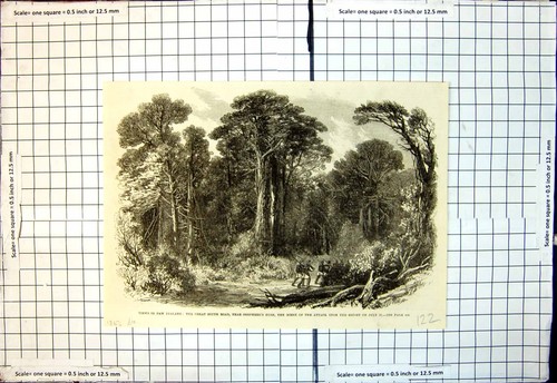 Old great south road shepherds - south,