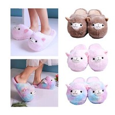 Winter Lovely Home Slippers