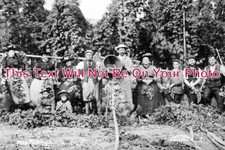 KE 1826 - Hop Picking, Maidstone, Kent