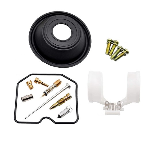 Carburetor repair kit with - repair,