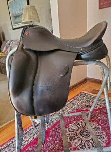 Albion slk dressage - albion,