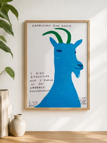 David shrigley capricorn the - shrigley,