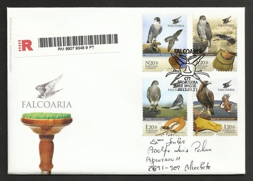 Portugal golden eagle falcon - golden,