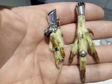 Scottish Grouse Foot Claw