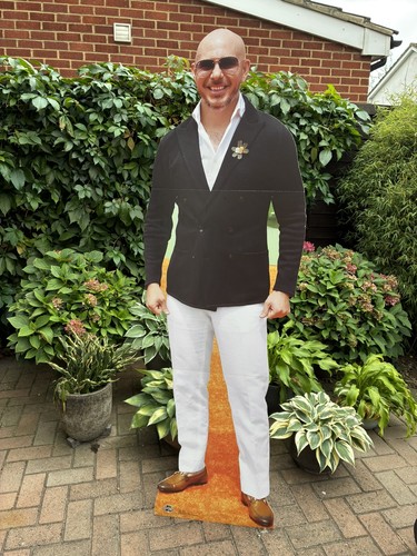 Pitbull rapper lifesize - pitbull,