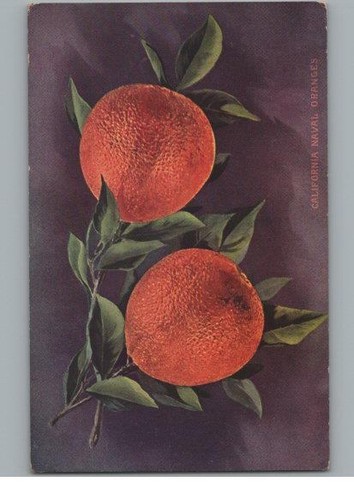 Vintage california naval - california,