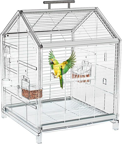 Inch small bird - inch,