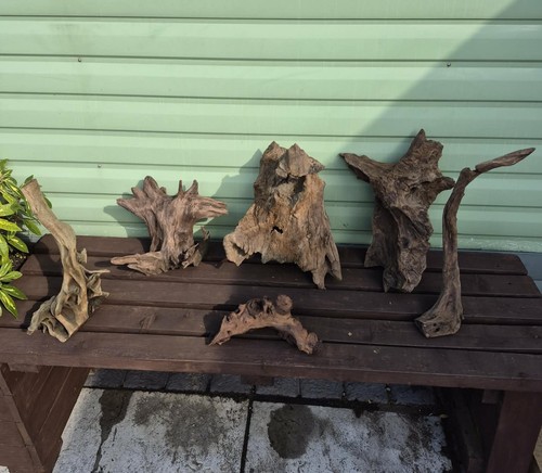 Bogwood for aquarium - for,