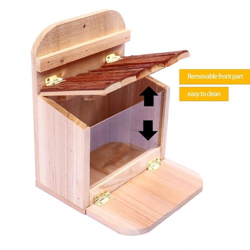 Squirrel feeders for outside - squirrel,