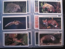 PLAYERS GRANDEE FULL SET IN