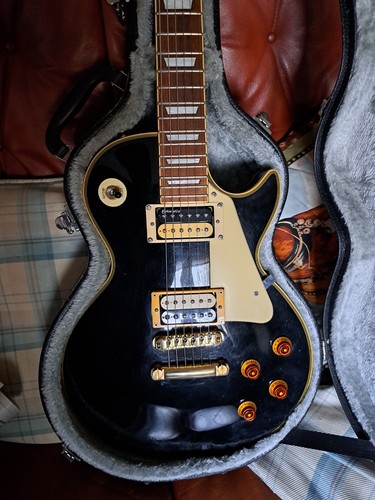 Hohner professional guitar - hohner, lp