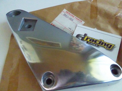 Footrest plate pillion