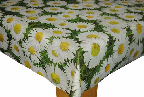 153cm wider width big - daisy, on