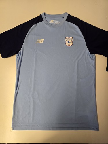 Cardiff city football - cardiff,