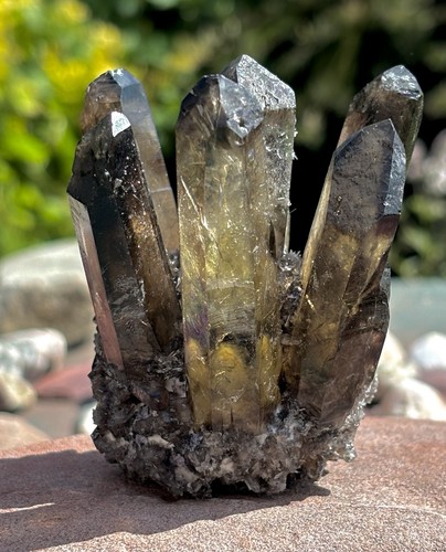 Smoky quartz crystal cluster - quartz,