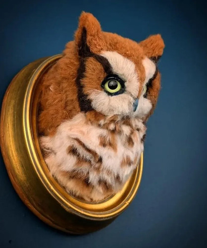 Faux taxidermy screech - screech, owl