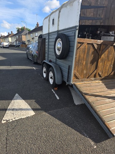 Project horse trailer - horse,