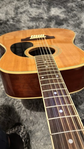 Vintage string dreadnought - vintage,